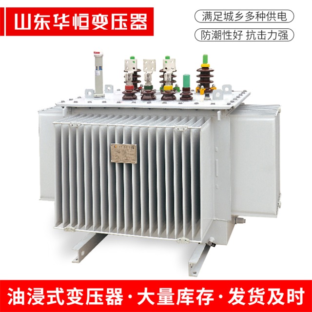 S13-10000/35金东金东金东电力变压器